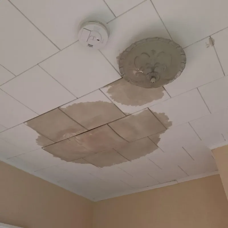 Ceiling Water Damage Repair in Blanco County, TX