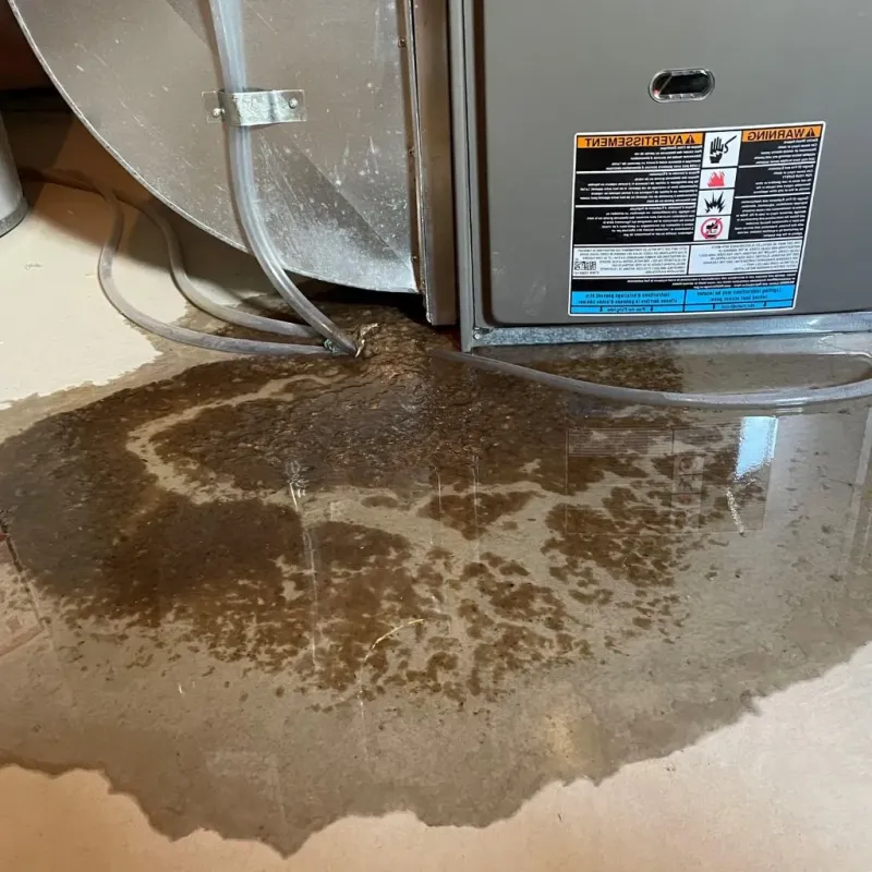 Pipe Burst and Leak Restoration in Blanco County, TX