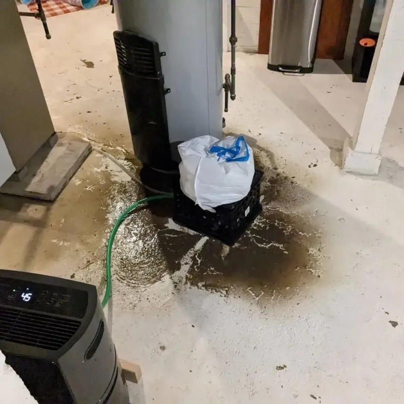 Sewage Backup Cleanup Service in Blanco County, TX